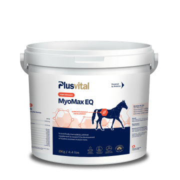Plusvital MyoMax EQ