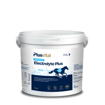 Plusvital Electrolyte Plus