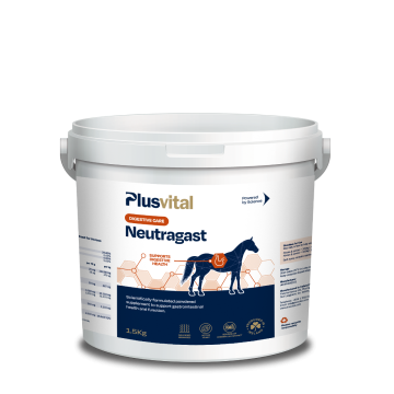 Plusvital Neutragast