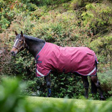 Horseware Rambo Original Lite