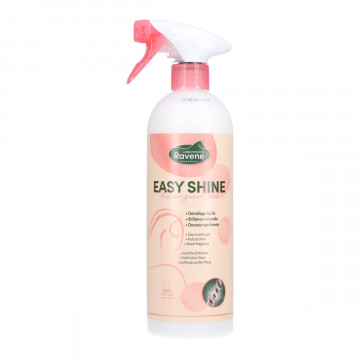 Ravene Easy Shine Spray