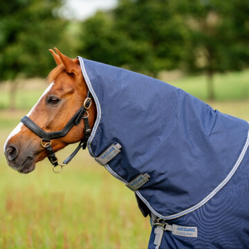 Amigo Bravo 12 XL Hood (Lite 0g) 