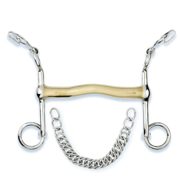 Stübben Dressuurstang