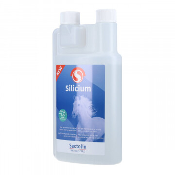 Sectolin Silicium 1000 ml