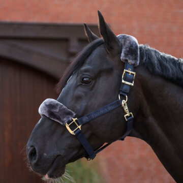 Bucas Show-Line Half Fur Halster 