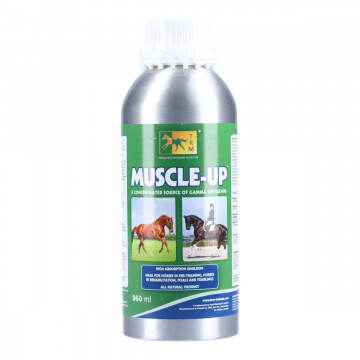 TRM Muscle Up