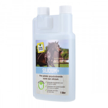 Vitalstyle Silicium