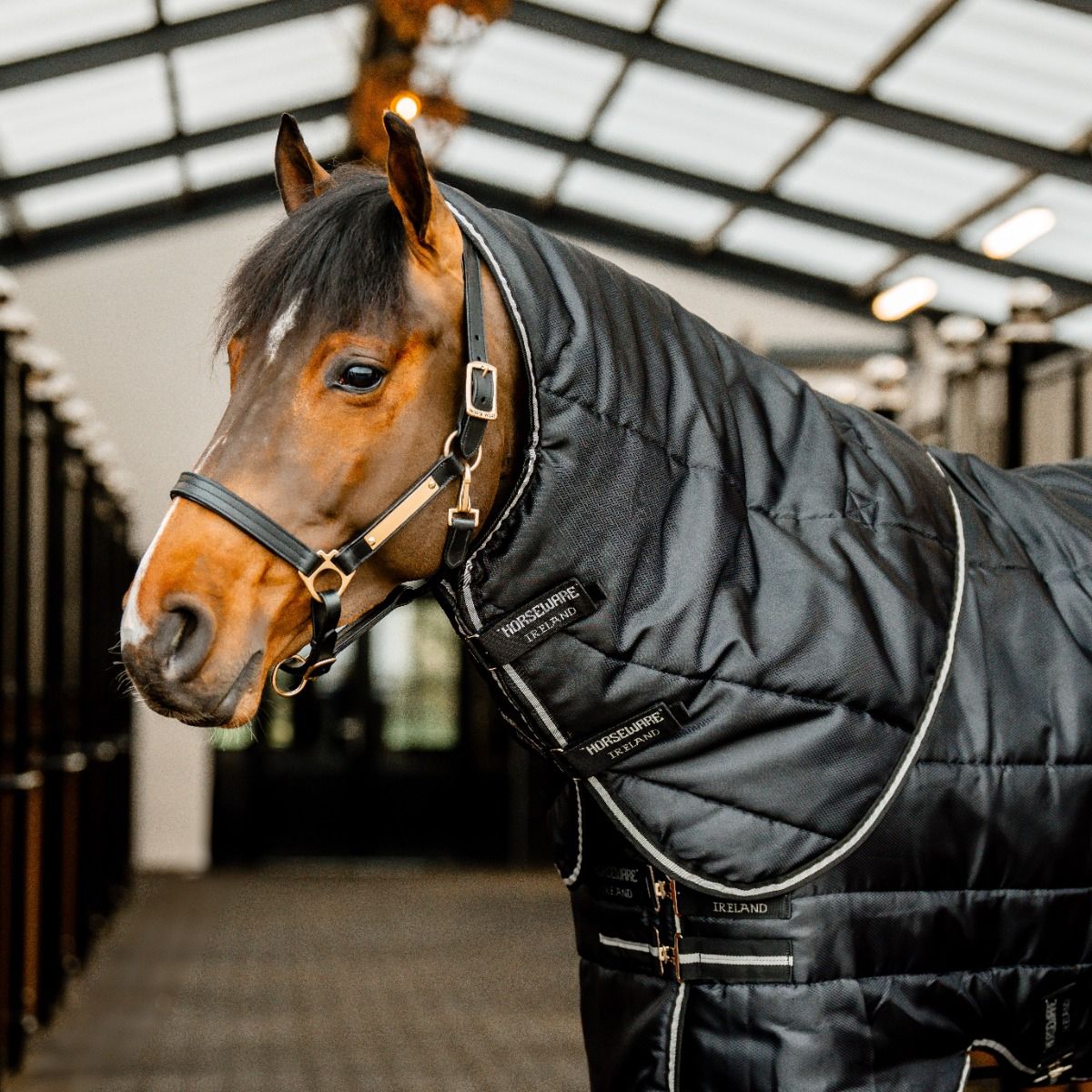 Horseware Hals Easy-Layer 100g - DocHorse