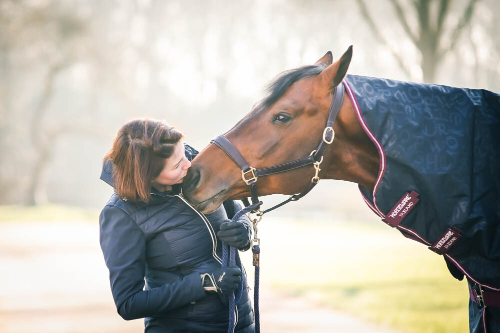 paardendeken