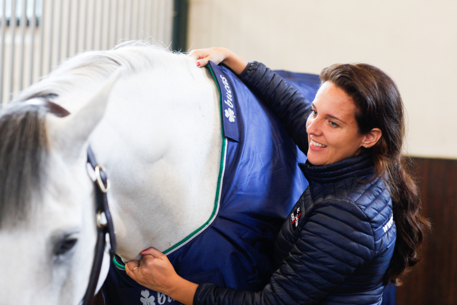 dekenmaat paard