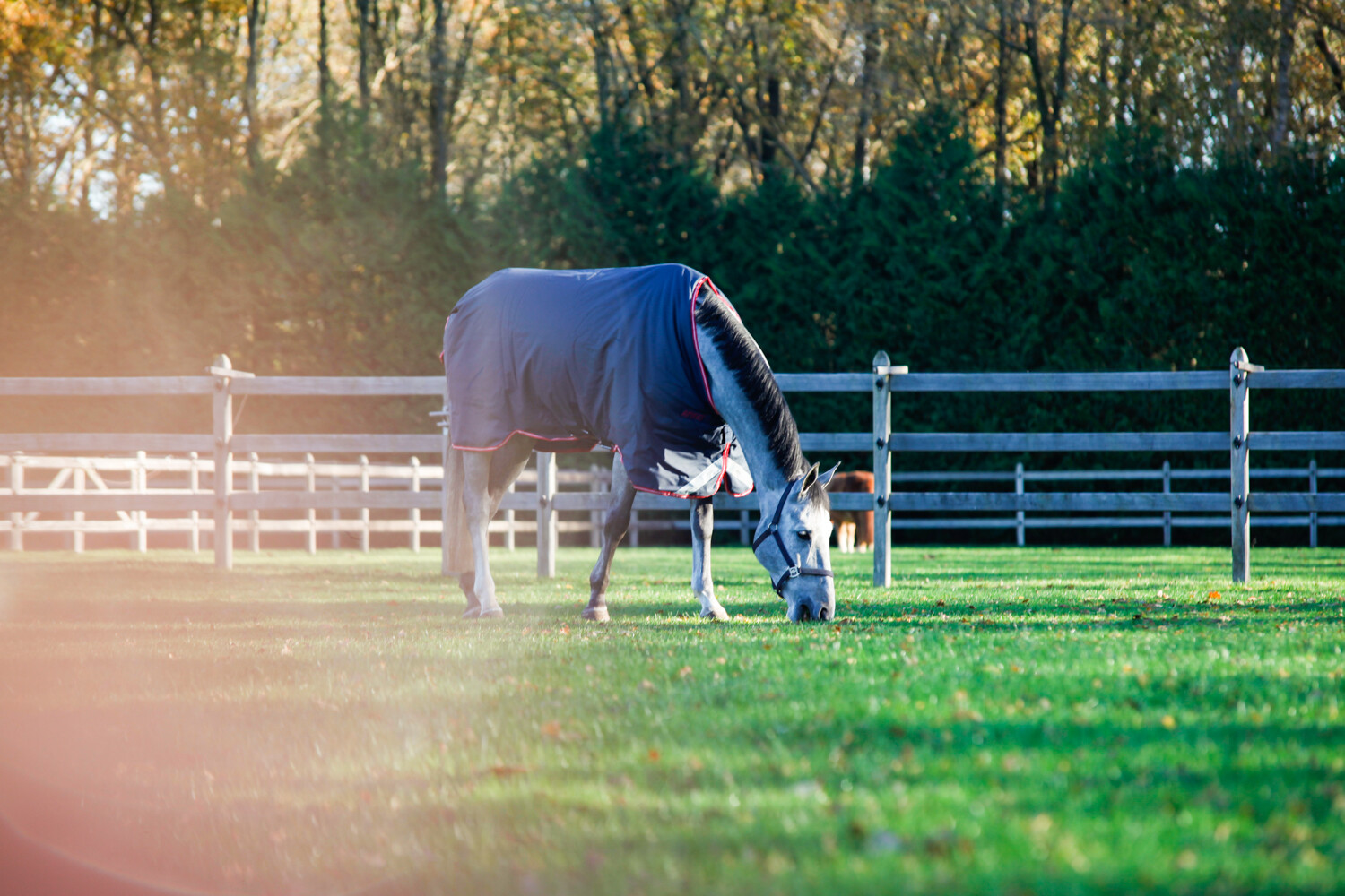 vitalstyle oerbalans