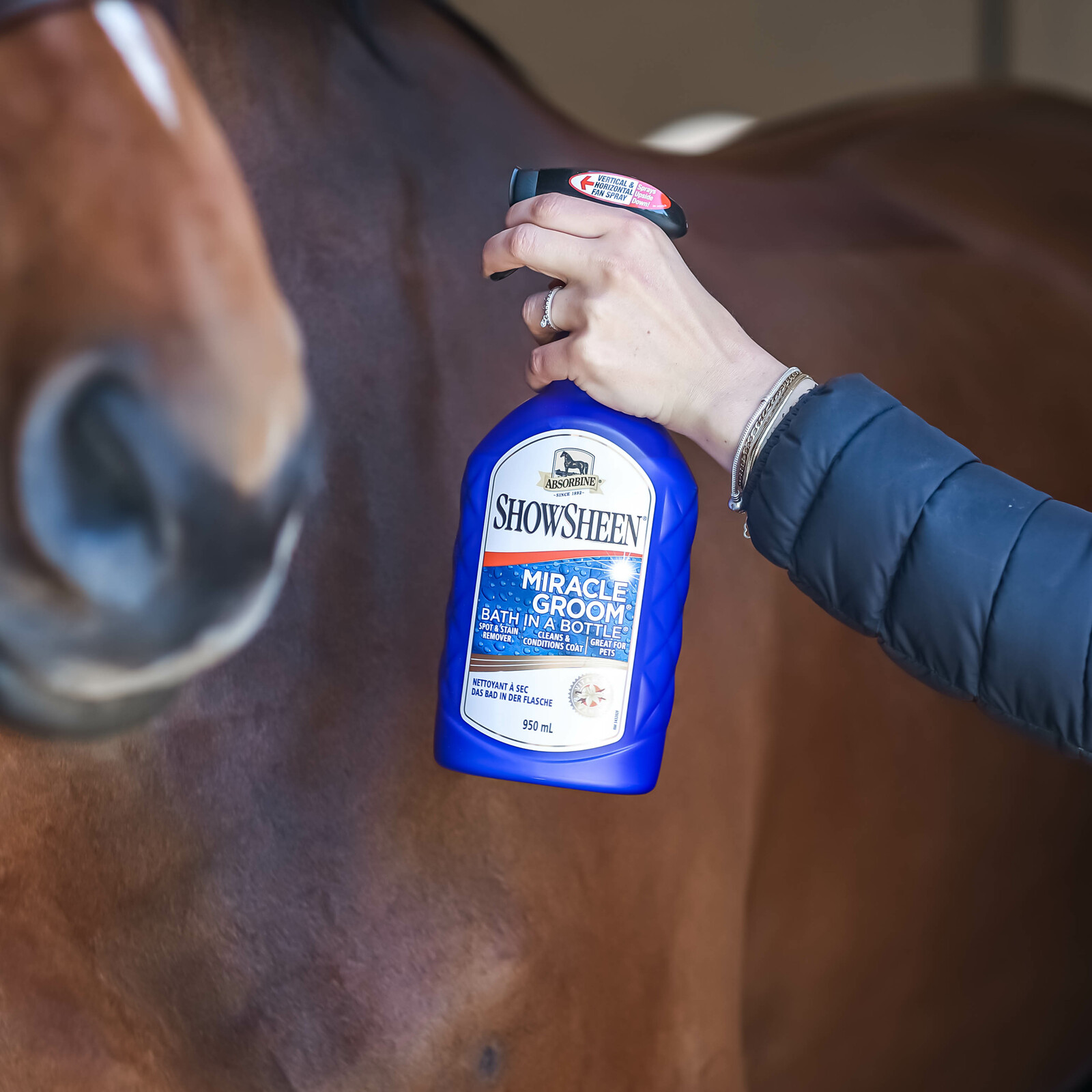 glansspray absorbine