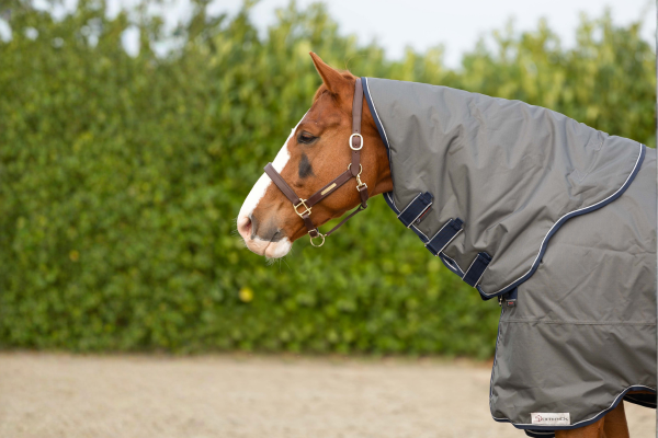 Gratis halsdeel t.w.v. &euro;59,95