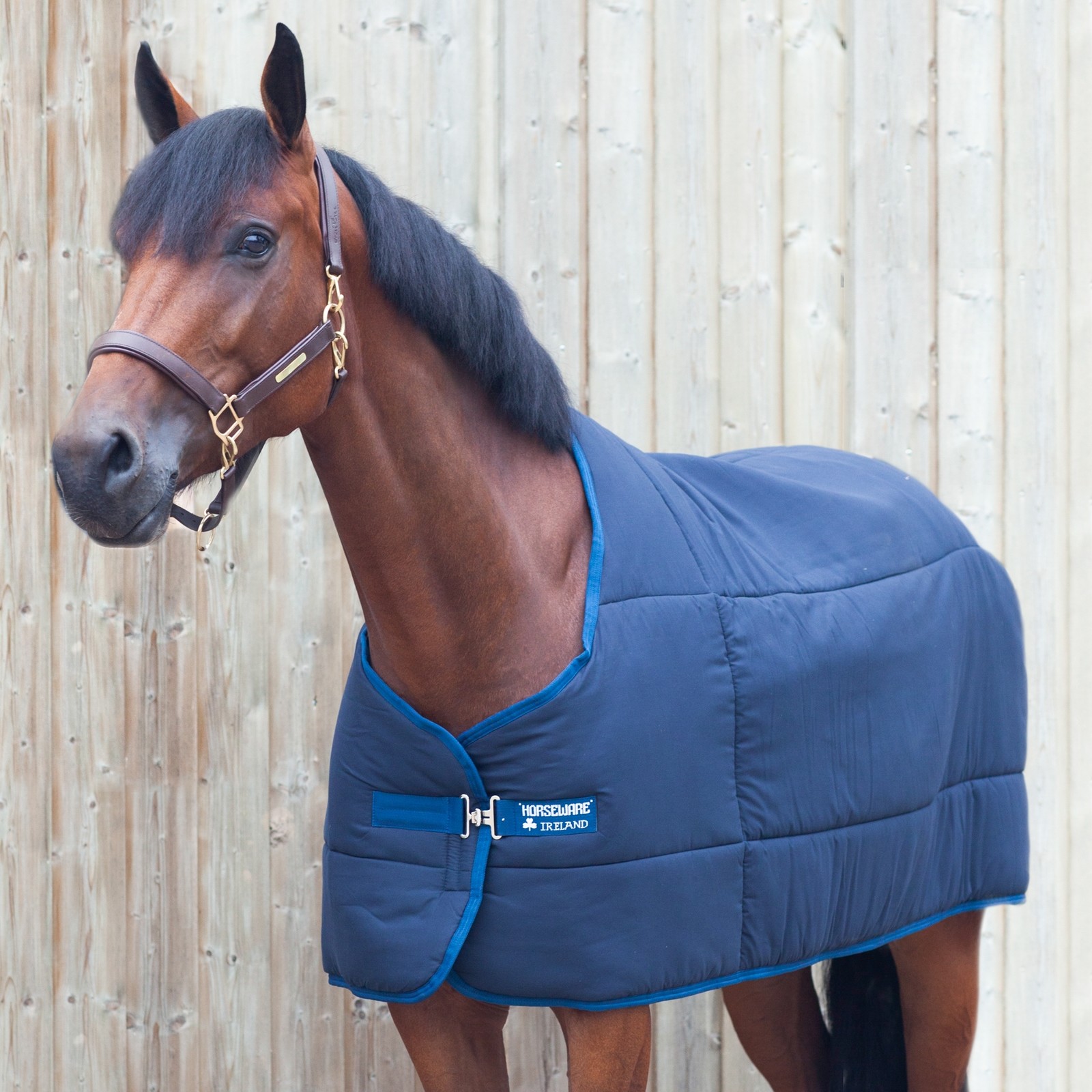 Horseware Onderdeken Katoen 300 Gr Dochorse