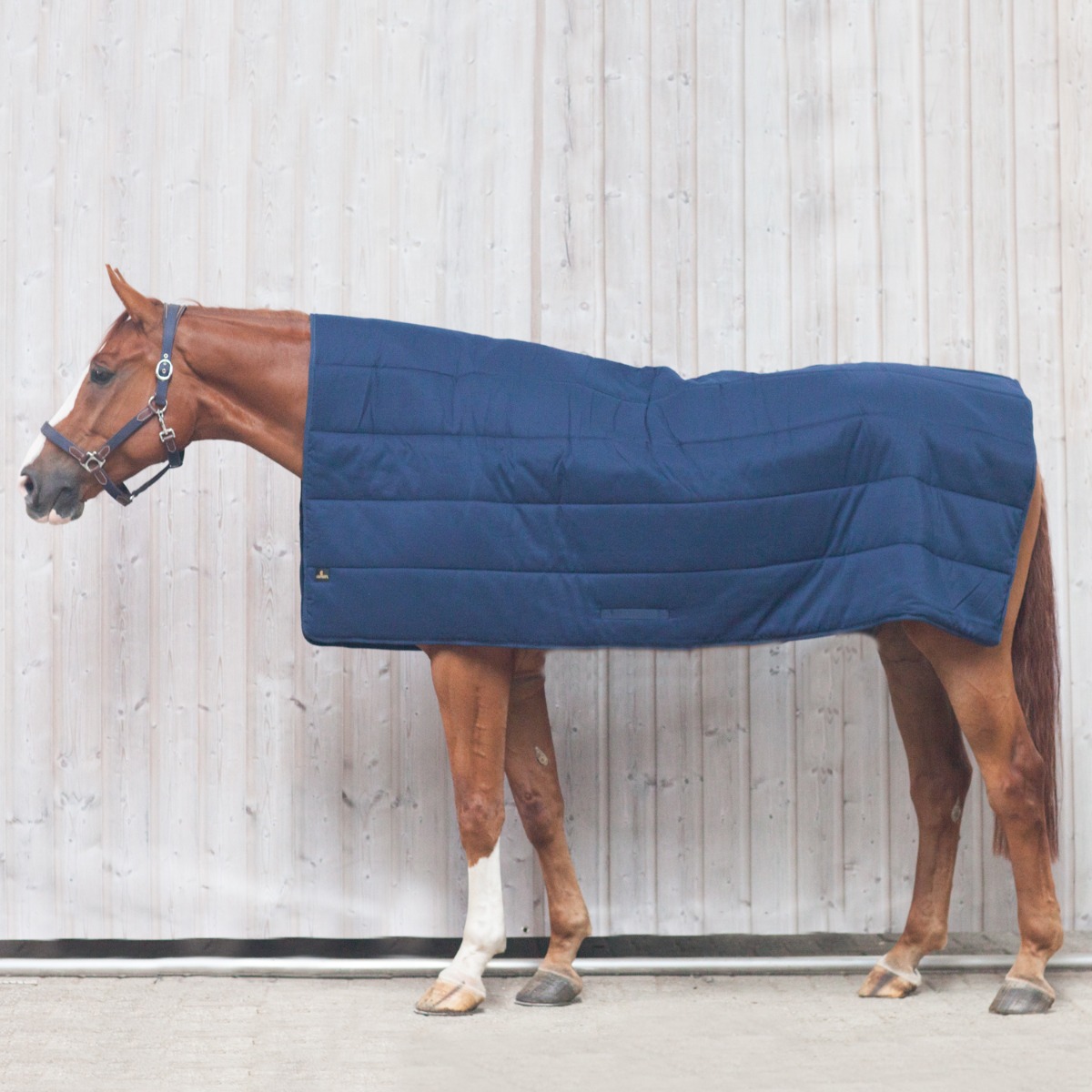 Kentucky Under Rug Dochorse