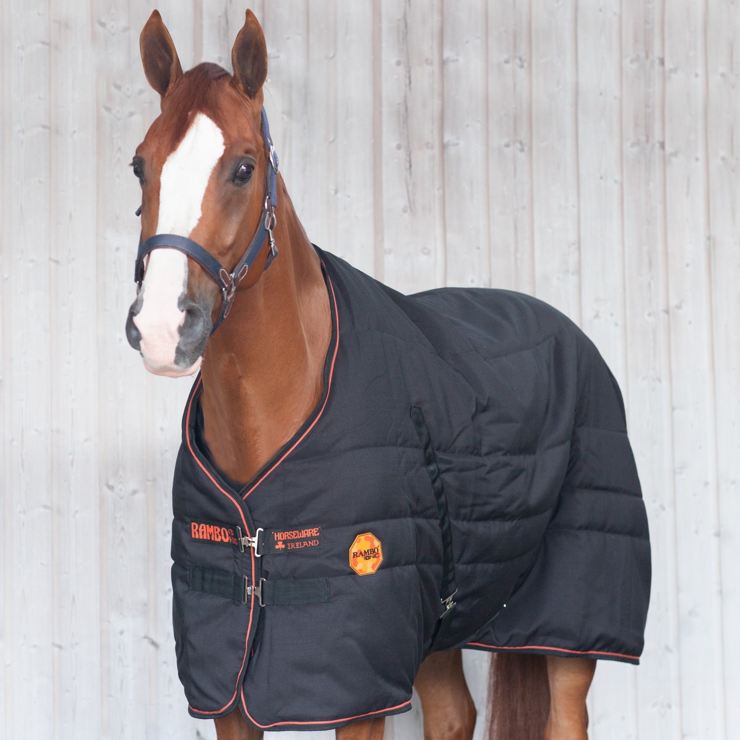 Horseware Rambo Ionic Stable Rug 200g Staldeken Dochorse
