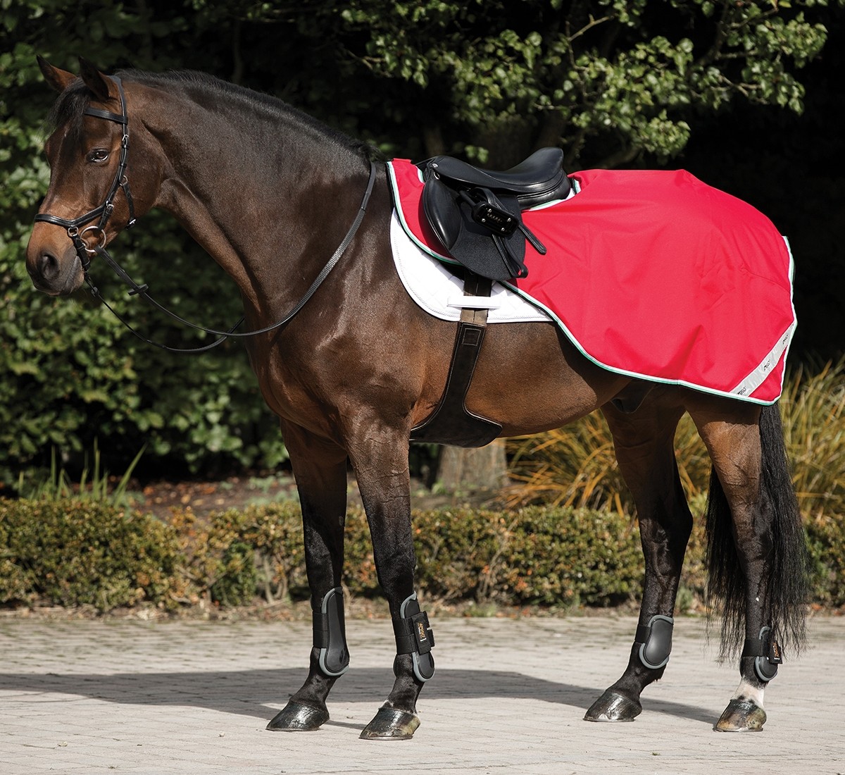 Uitrijdeken Amigo Competition Sheet Horseware Dochorse